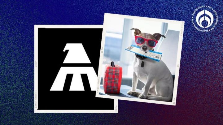 Mexicana se pone 'guapa': lanza promoción para que vueles con tu perro o gato desde el AIFA