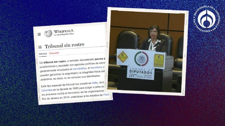 Diputada de Morena se 'chacalea' definición de 'jueces sin rostro' ¡de Wikipedia! (VIDEO)