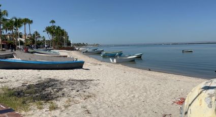 Pesca ilegal, un 'depredador' en BCS: preocupa a pescadores falta de vigilancia en mar de La Paz