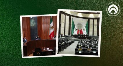 Tribunal Electoral da luz verde a ‘aplanadora’ de la 4T en la Cámara de Diputados