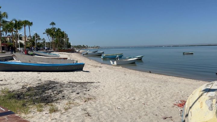 Pesca ilegal, un 'depredador' en BCS: preocupa a pescadores falta de vigilancia en mar de La Paz