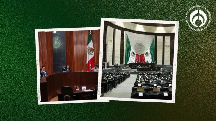 Tribunal Electoral da luz verde a ‘aplanadora’ de la 4T en la Cámara de Diputados