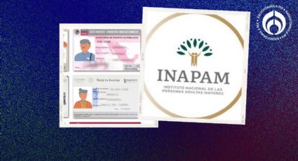 INAPAM: lista de adultos mayores que deben renovar su tarjeta