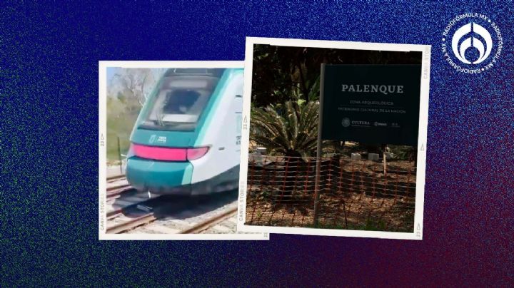 La 'peli' del Tren Maya: publican primer capítulo del documental (VIDEO)