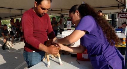 Refuerzan vacunación en mascotas de Escobedo NL