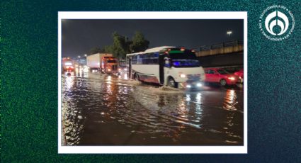 Clima hoy miércoles 7 de agosto: 'Efecto Fujiwhara' afectará con lluvias a estos estados