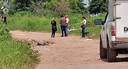 Hallan cuerpo de mujer con huellas de violencia en camino de terracería en Veracruz