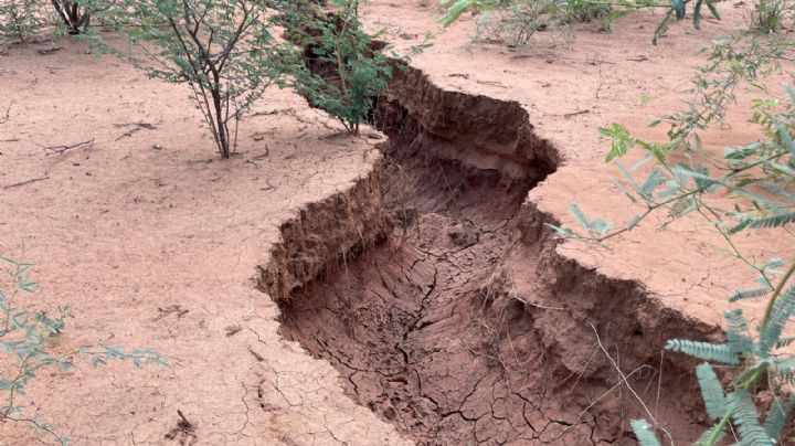 Megazanja en Hermosillo: ¿Grieta de tierra fue por la falla de San Andrés? Esto dicen los expertos