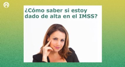 ¿Cómo saber si estás activo en el IMSS?: Paso a paso