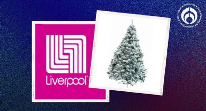 Liverpool pone a mitad de precio arbolito de Navidad de 1.90 con apariencia súper natural y escarcha