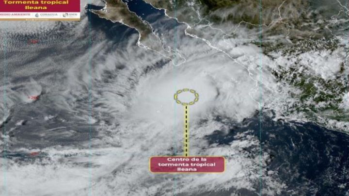 Tormenta tropical 'Ileana': prevén que toque tierra en La Paz para este sábado 