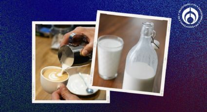 La mejor leche para tu café y la más barata si eres intolerante a la lactosa, según Profeco