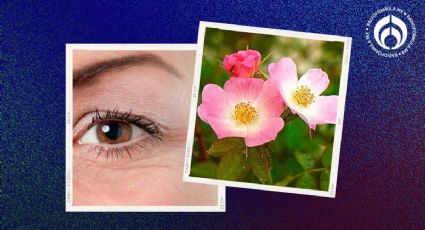 Esta flor 'derrama' colágeno y te puede ayudar a rejuvenecer la piel