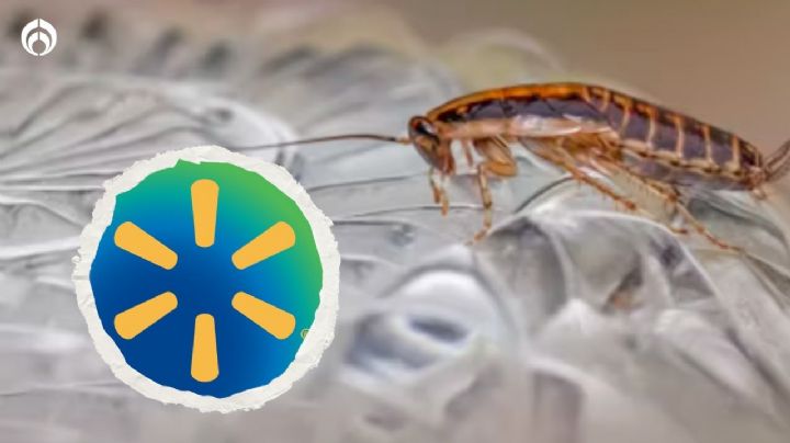 El insecticida en gel super efectivo para matar cucarachas y que Walmart lo vende baratísimo