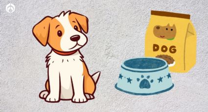 Las croquetas mexicanas de alta gama para perros con piel sensible y aprobadas por Profeco