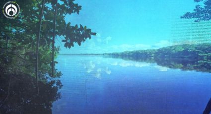 Laguna Manatí: un refugio de vida silvestre en la zona urbana de Cancún