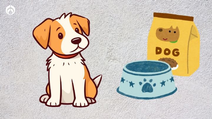 Las croquetas mexicanas de alta gama para perros con piel sensible y aprobadas por Profeco