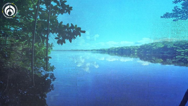 Laguna Manatí: un refugio de vida silvestre en la zona urbana de Cancún