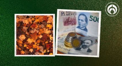 Peso se 'deshoja' en inicio de otoño: cae a 19.41 unidades por dólar