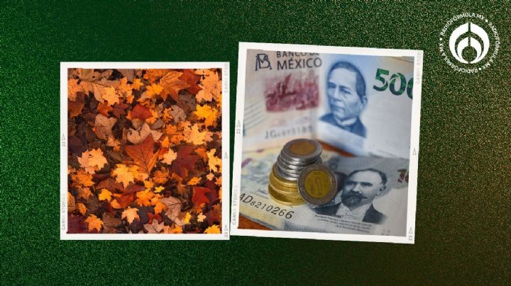 Peso se 'deshoja' en inicio de otoño: cae a 19.41 unidades por dólar