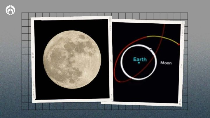 'Del tamaño de un autobús': así será la nueva Luna que tendrá la Tierra