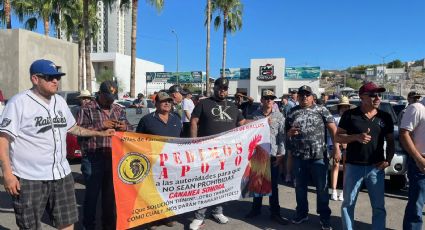 Marchan para exigir peleas de gallos legales en Hermosillo