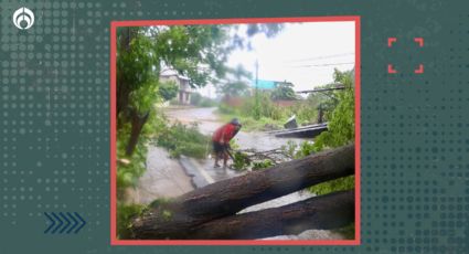 Tras paso de John, alcaldesa de Acapulco urge atender cambio climático por huracanes