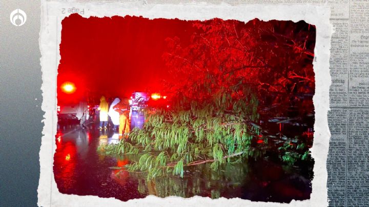 Huracán John: Hay daños en viviendas, caída de árboles y cortes de luz en Guerrero y Oaxaca