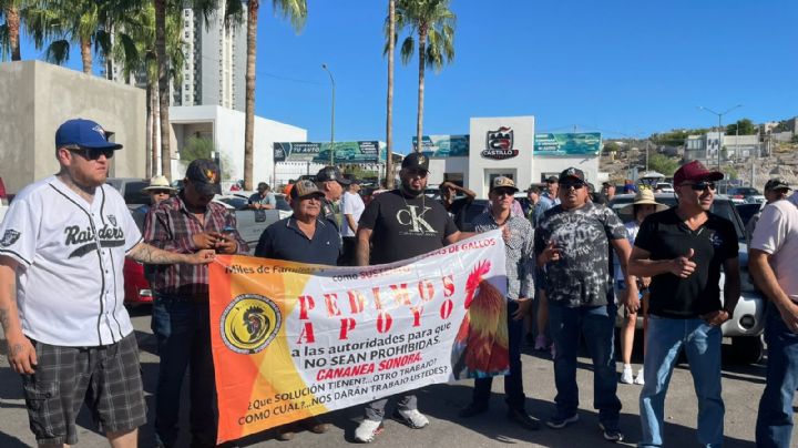 Marchan para exigir peleas de gallos legales en Hermosillo