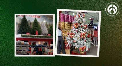 Árboles de Navidad: ¿Dónde está y cómo llegar a la tienda que los vende por mayoreo en CDMX?