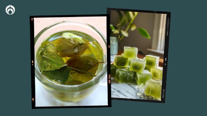 Gomitas de té verde: Este es el secreto de Sofía Vergara para lucir radiante