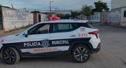 Encuentran tres cuerpos sin vida y con signos de violencia en Hermosillo