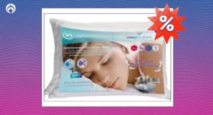 Sam's Club rebaja el kit de almohadas Serta; son antibacteriales, transpirables y cuidan tu espalda