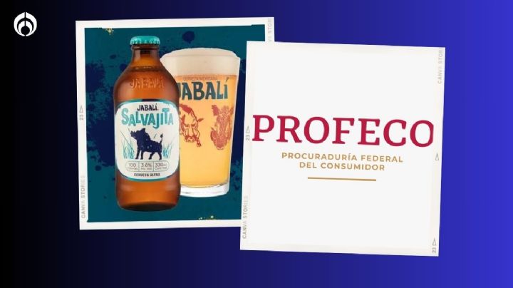 ¿Qué tan buena es la cerveza Jabalí Salvajita baja en alcohol? Esto dice Profeco