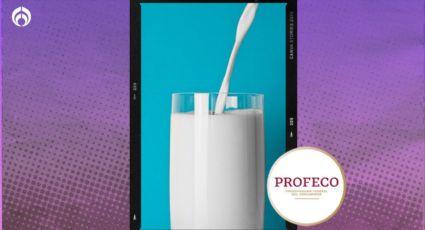 Esta es la leche de casi 2 litros con alta proteína y más barata, según Profeco