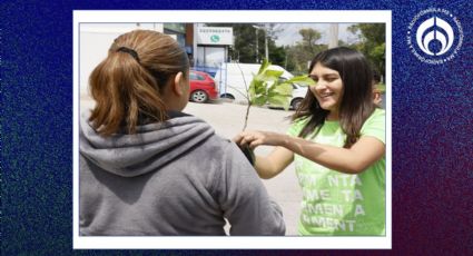 Armenta continúa reforestación en Puebla con 'Sembremos Esperanza'