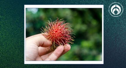 La súperfruta que ayuda fortalecer las defensas, mejora la nutrución y previene el cáncer