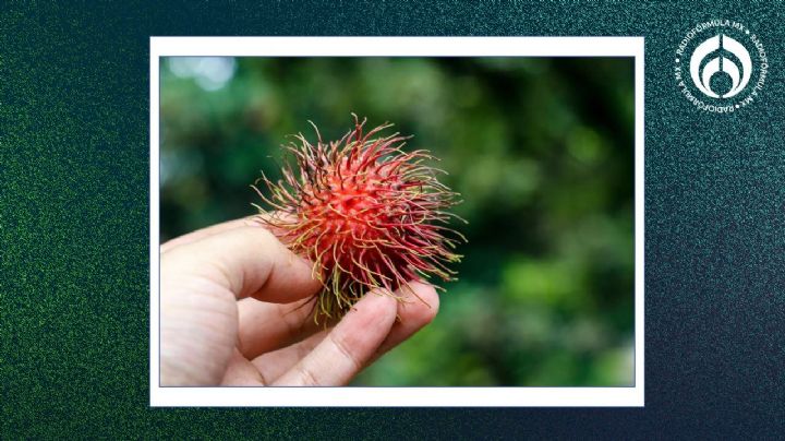 La súperfruta que ayuda fortalecer las defensas, mejora la nutrución y previene el cáncer