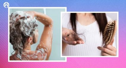 ¿Cuál es el mejor shampoo para la caída del cabello? Esto dicen los expertos