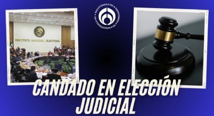 INE pone 'candado' en Elección Judicial: prohíbe a candidatos uso de encuestas