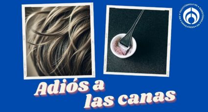 Los tonos de tinte para disimular las canas y no hacer retoques cada mes, según experto