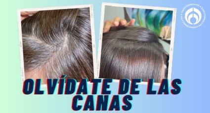 El tinte que no conocías creado para cubrir canas muy barato que usan los expertos