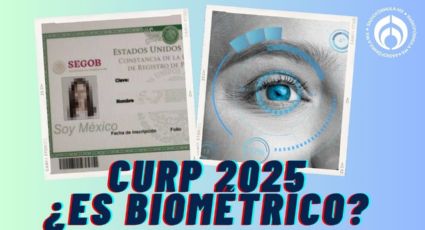 CURP: este es el formato obligatorio para 2025; ¿es biométrico?