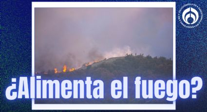 ¿Qué es el 'latigazo hidroclimático' y cómo alimenta los incendios en California?