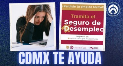 Seguro de desempleo 2025: ¿cómo acceder al programa y recibir hasta 9,900 pesos?