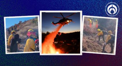 Bomberos mexicanos al rescate: estos son los avances de control en los incendios en California