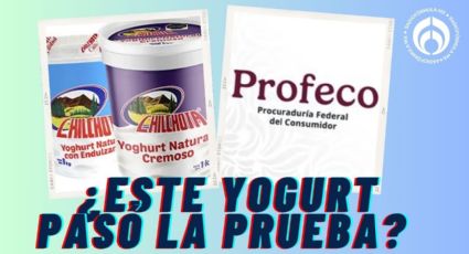 ¿Qué tan bueno es el yogurt de la marca Chilchota? Esto dice la Profeco