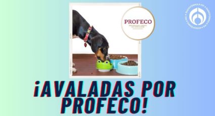 Las croquetas para perro de 4 Kg que Soriana tiene en $200, con aval de Profeco y muchos nutrientes