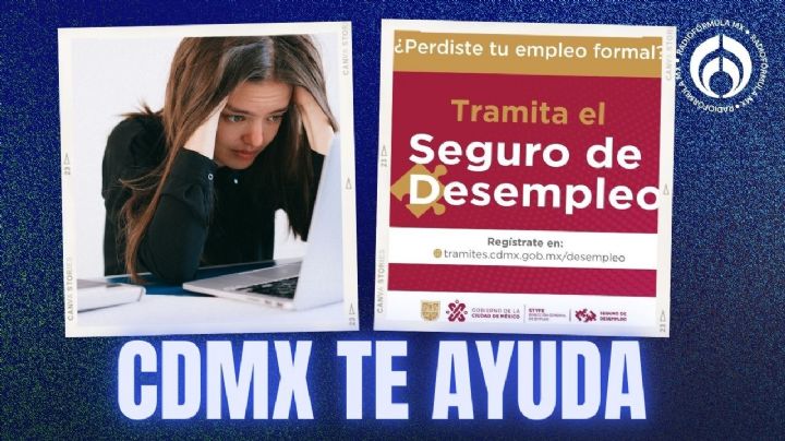 Seguro de desempleo 2025: ¿cómo acceder al programa y recibir hasta 9,900 pesos?