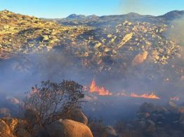 (FOTOS) Fuego en BC: 3 incendios forestales mantienen en vilo a bomberos y rescatistas